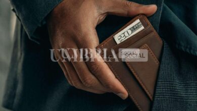 "Ha un insetto, glielo tolgo", e invece lo deruba del portafogli: indagini in corso 6 clay banks WNrMJykUiwU unsplash scaled e1680869057474