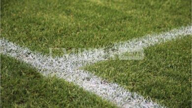 Calcio Serie B, Perugia e Ternana perdono ancora: le Fere sono salve, il Grifo appeso a un filo 11 5E539037 EAE6 49E6 96AC EA8F1EE61B59