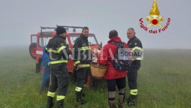 Escono alla ricerca di funghi ma si perdono a causa della nebbia: messi in salvo dai vigili del fuoco 5 WhatsApp Image 2023 06 15 at 11.59.56