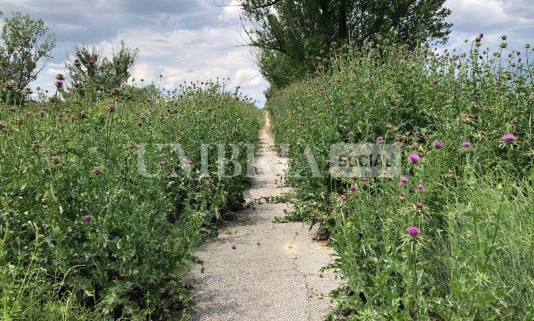 pista ciclabile prima dei lavori