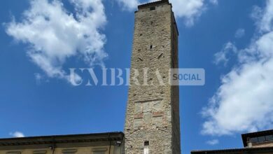 torre6