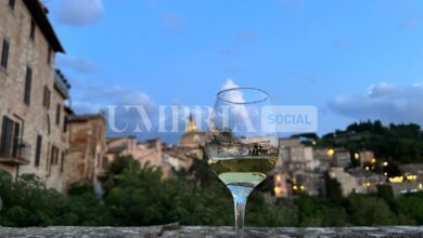 8ccb2d05 db16 6c32 0631 9a37075a441e