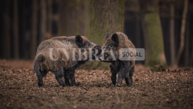 Schermata 2023 07 14 alle 10.21.18