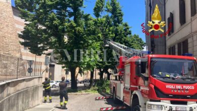 Spoleto, mezzo pesante spacca tiglio secolare: la pianta è stata rimossa (foto) 4 WhatsApp Image 2023 07 07 at 12.28.52