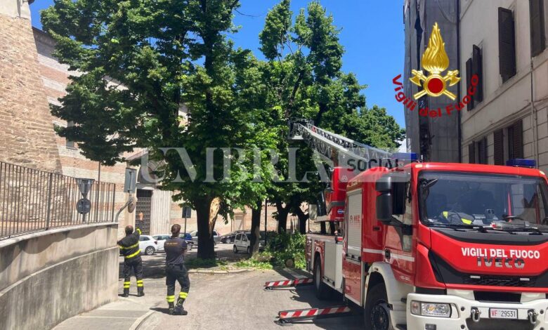 WhatsApp Image 2023 07 07 at 12.28.52