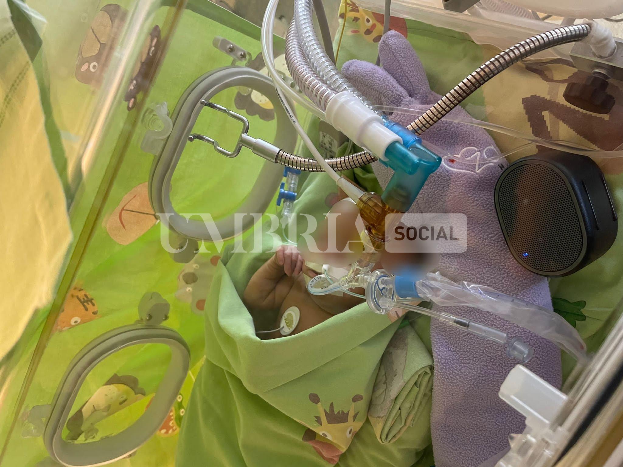 Ospedale di Perugia, le voci registrate di mamma e papà per il benessere di bimbi prematuri 2