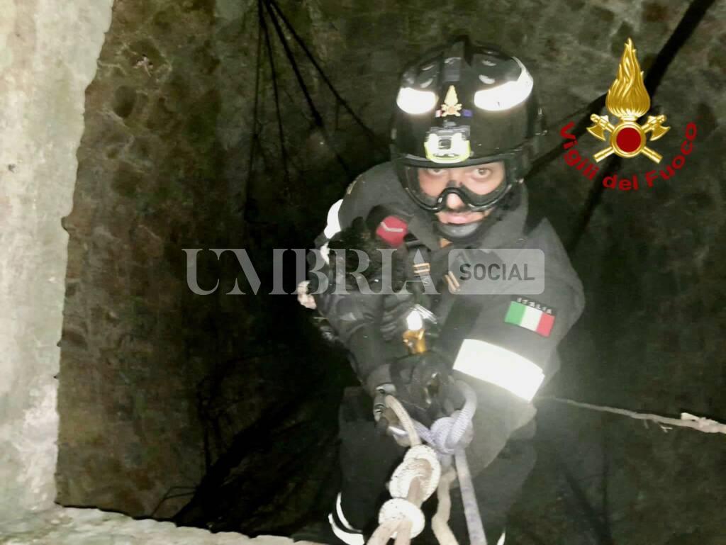 Gatto cade in un pozzo, salvato dai vigili del fuoco (foto) 2
