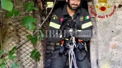 Gatto cade in un pozzo, salvato dai vigili del fuoco (foto) 8 IMG 20230826 WA0033