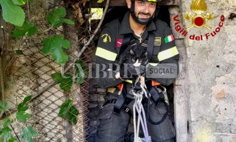 Gatto cade in un pozzo, salvato dai vigili del fuoco (foto) 1 IMG 20230826 WA0033