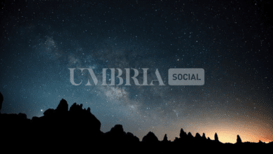 Schermata 2023 08 01 alle 16.40.47