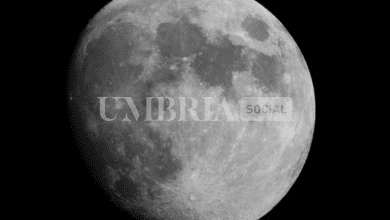 Schermata 2023 08 30 alle 16.23.18
