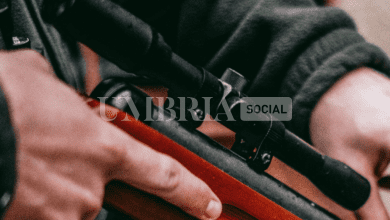 Perde la carabina dimenticata sul tettuccio dell'auto: denunciato 8 Screenshot 2023 08 24 12.21.04