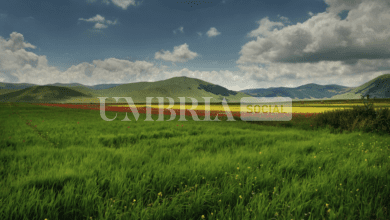 Ricostruzione Castelluccio, pubblicato il bando per gli operatori economici 9 Schermata 2022 07 27 alle 11.17.42