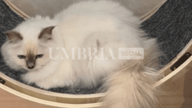 Screenshot 2023 09 27 14.32.09