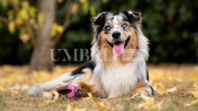 martin blanquer 2nRROZpbZVc unsplash