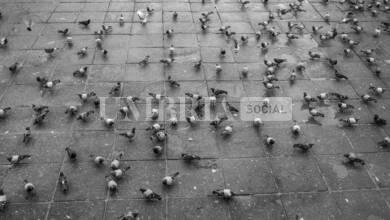 83C59FD4 A59D 4B40 8985 3123D03F22A4