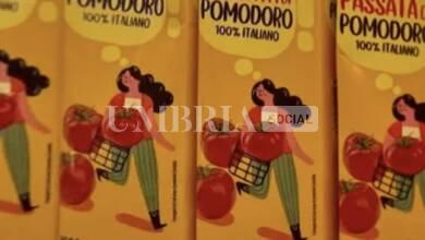 Coop lancia gli “Spesotti”: una spesa conveniente con la garanzia di alta qualità 11 E2429137 FE5E 4F45 B604 4D04E9D90F3D