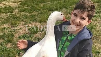 La bella storia dell'oca Giovanna: vinta al Palio di Città di Castello, ora parte della famiglia di Pietro (foto) 2 pietro e giovanna 1