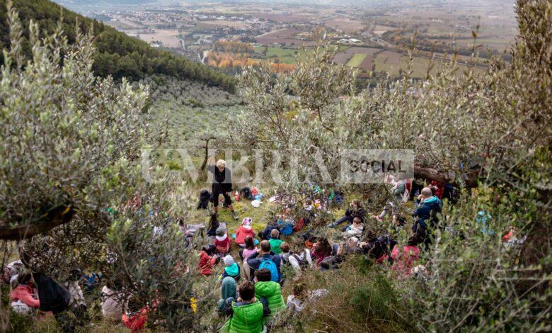 Tutto pronto a Campello sul Clitunno per la Festa dei Frantoi e dei Castelli 1 880ea9ac f014 d2bd a3ba 0e23be7dc1d1