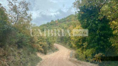 Giano dell’Umbria, strade bianche: manutenzione straordinaria per 60mila euro 12 CF454A0A 7887 4F90 BF08 A41D9F761CCB