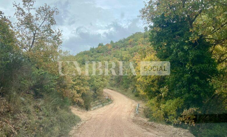 CF454A0A 7887 4F90 BF08 A41D9F761CCB