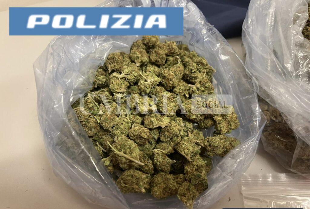 Foligno, residenti notano movimenti sospetti: nei guai un 43enne con quasi mezzo chilo di marijuana ed hashish 2