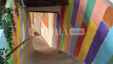 Schermata 2023 11 07 alle 15.46.20