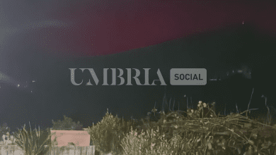 Schermata 2023 11 09 alle 16.11.14