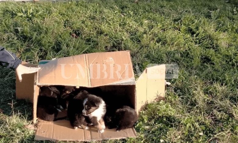 Screenshot 2023 11 23 13.28.40