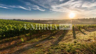 497F738A 4BB3 403F 952E 3EC5D8A558C2