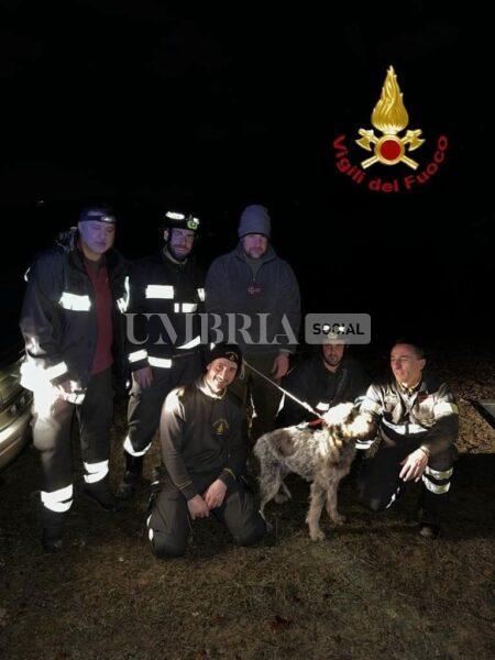 Cane cade lungo una scarpata, lo salvano i Vigili del Fuoco: Brutus sta bene (foto) 2