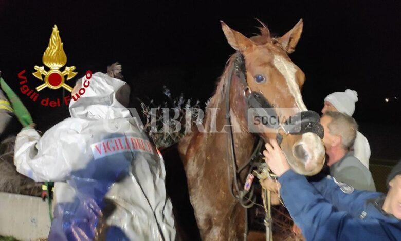 AA3B8F42 4A94 4788 AF17 B4DE9147EE65