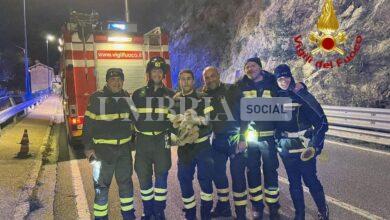 Vigili del Fuoco salvano capretto finito nel greto del torrente Camignano 12 FE496C7B 36F4 4186 8C45 AEDBC4CFCD61