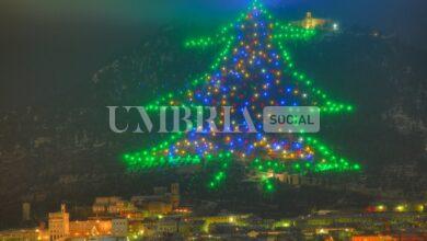 Tutto pronto a Gubbio per l'accensione dell'Albero di Natale più grande del mondo 3 WhatsApp Image 2023 12 06 at 13.35.54 1