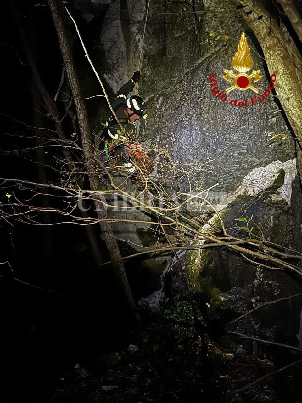Cane da caccia precipita in un dirupo nella zona di Isola Fossara: recuperato dai Vigili del fuoco (foto) 6