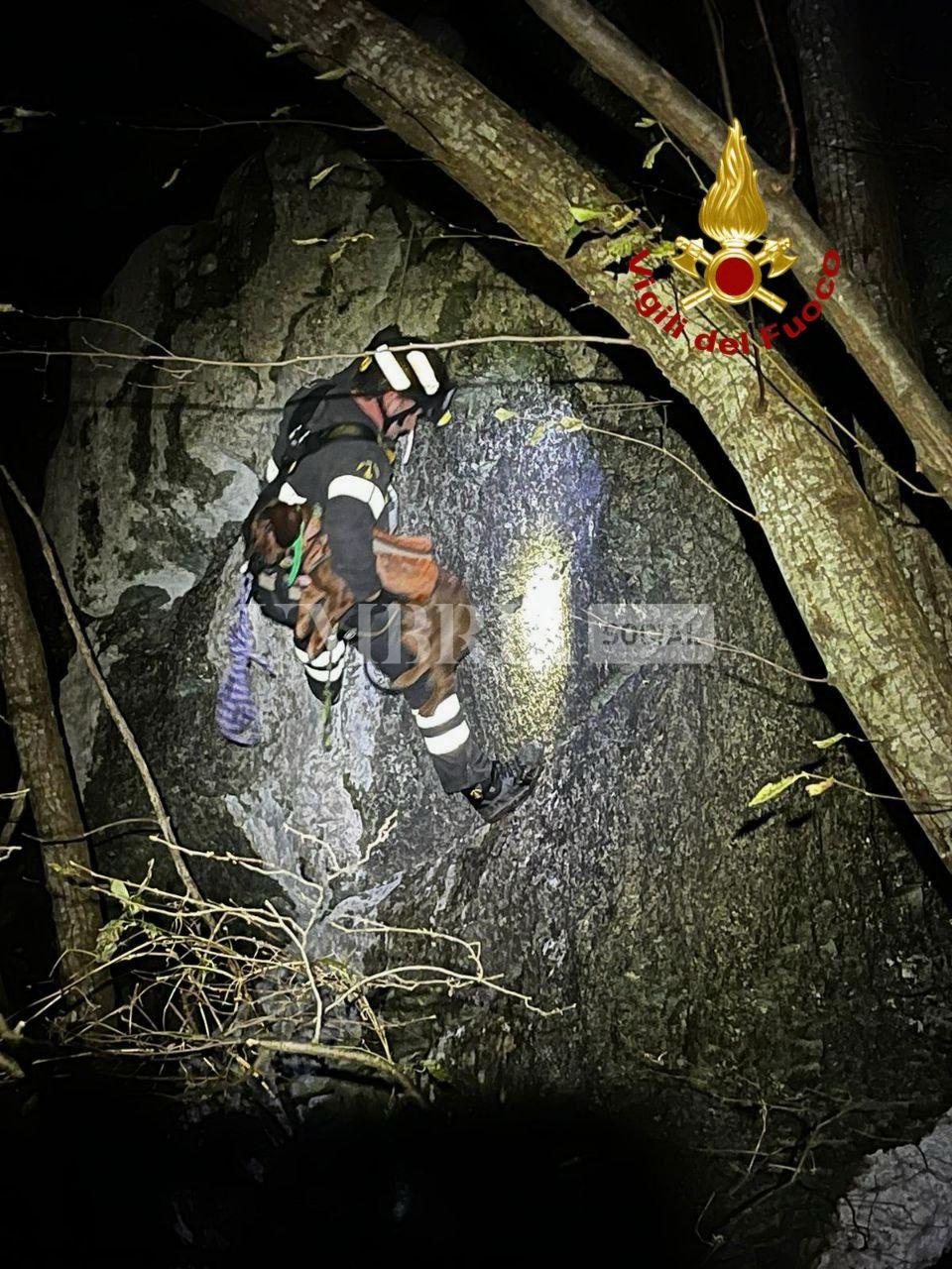 Cane da caccia precipita in un dirupo nella zona di Isola Fossara: recuperato dai Vigili del fuoco (foto) 4