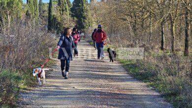 Al canile di Collestrada la passeggiata di Natale insieme allo Sportello a quattro zampe della Provincia (foto) 9 passeggiata2