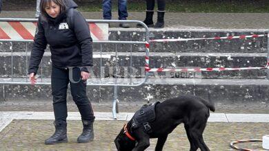 “Pet and technology for life”, piloti e conduttori a quattro zampe: successo a Santa Maria degli Angeli (foto+video) 13 10FE446F EC10 491F 8B9C 5BE10B58855C scaled