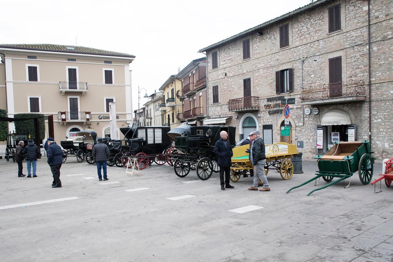 “Pet and technology for life”, piloti e conduttori a quattro zampe: successo a Santa Maria degli Angeli (foto+video) 75