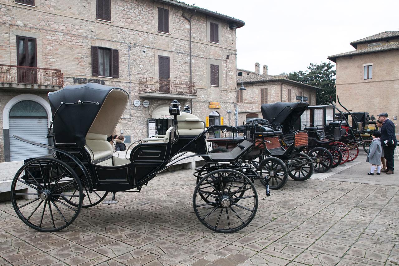 “Pet and technology for life”, piloti e conduttori a quattro zampe: successo a Santa Maria degli Angeli (foto+video) 71