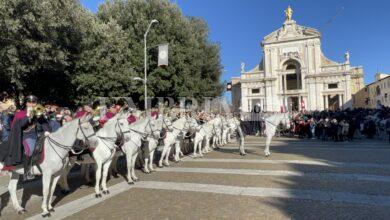 Successo a Santa Maria degli Angeli per il Piatto di Sant’Antonio Abate (foto e video) 3 55AE74AD 9632 49F4 9884 480C94C8916F scaled