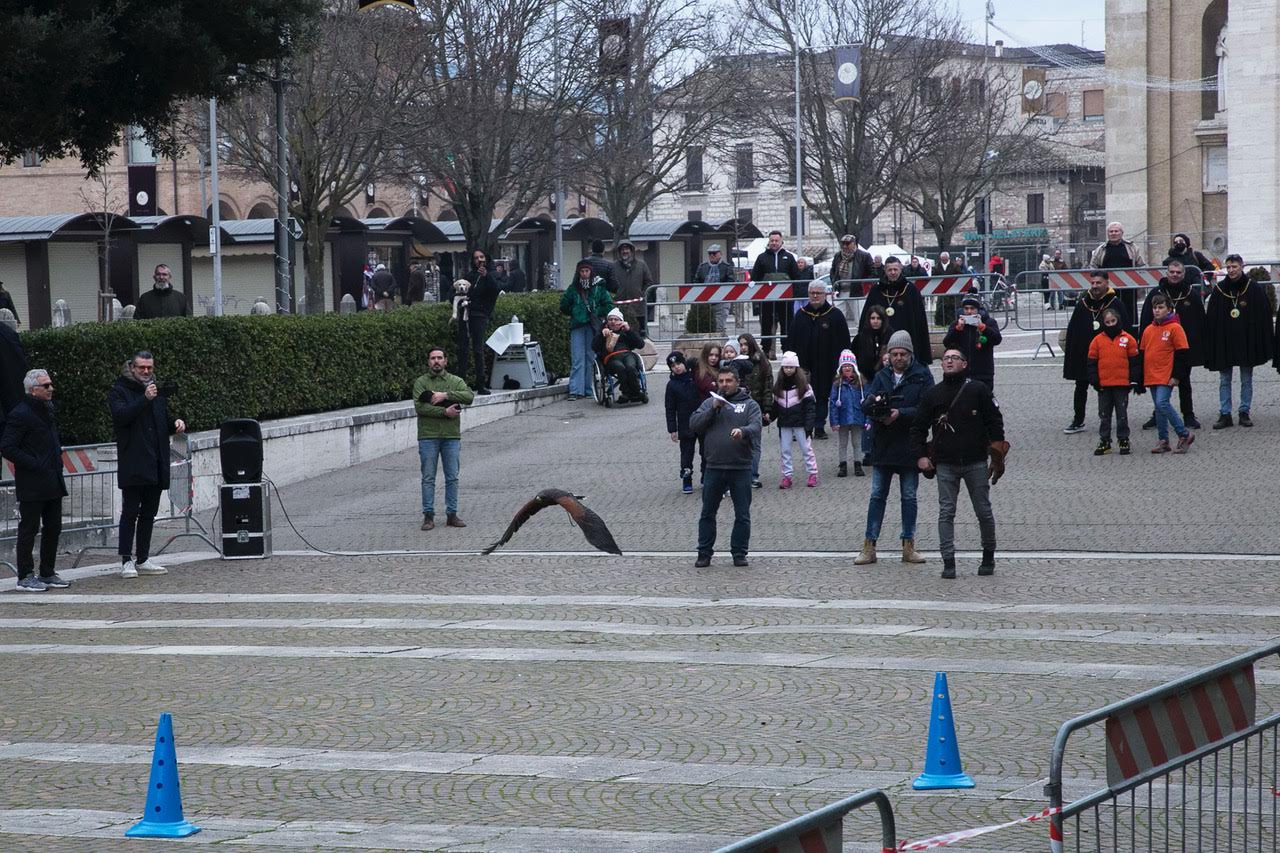 “Pet and technology for life”, piloti e conduttori a quattro zampe: successo a Santa Maria degli Angeli (foto+video) 61