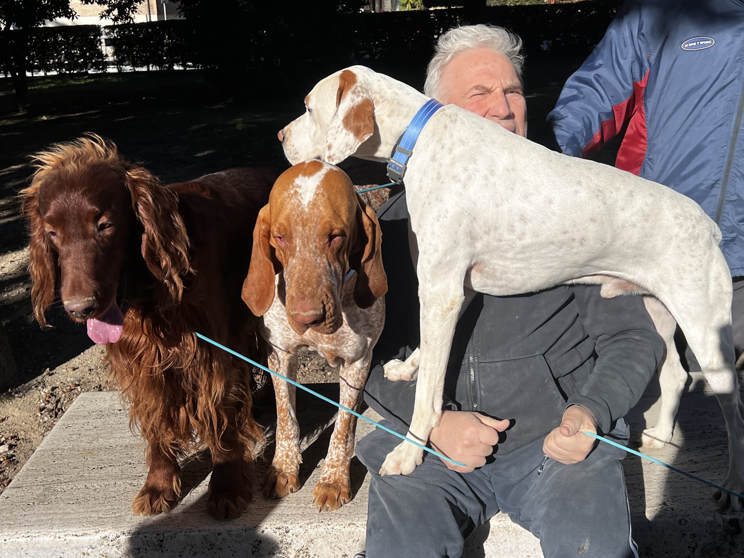 Successo a Santa Maria degli Angeli per il Piatto di Sant’Antonio Abate (foto e video) 88