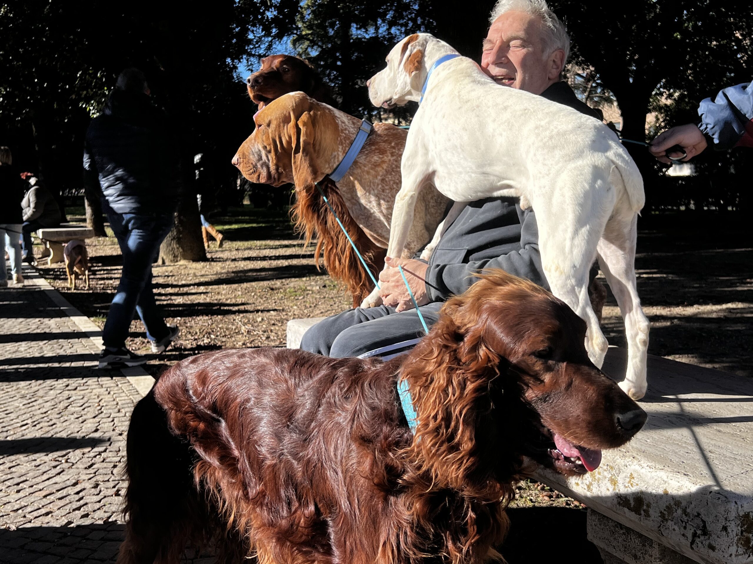 Successo a Santa Maria degli Angeli per il Piatto di Sant’Antonio Abate (foto e video) 90