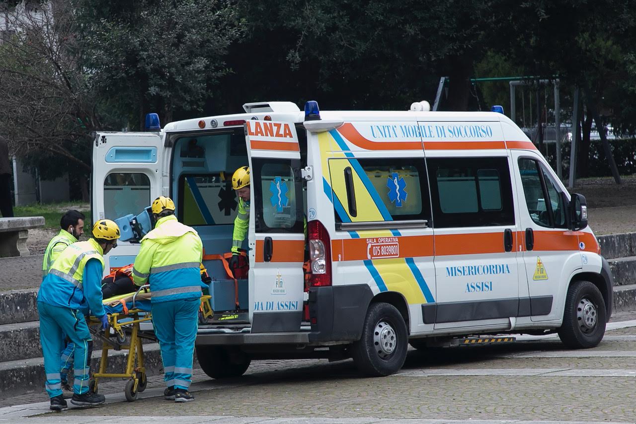 “Pet and technology for life”, piloti e conduttori a quattro zampe: successo a Santa Maria degli Angeli (foto+video) 43