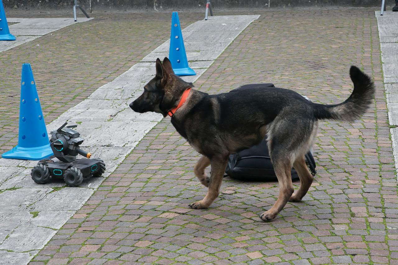 “Pet and technology for life”, piloti e conduttori a quattro zampe: successo a Santa Maria degli Angeli (foto+video) 55