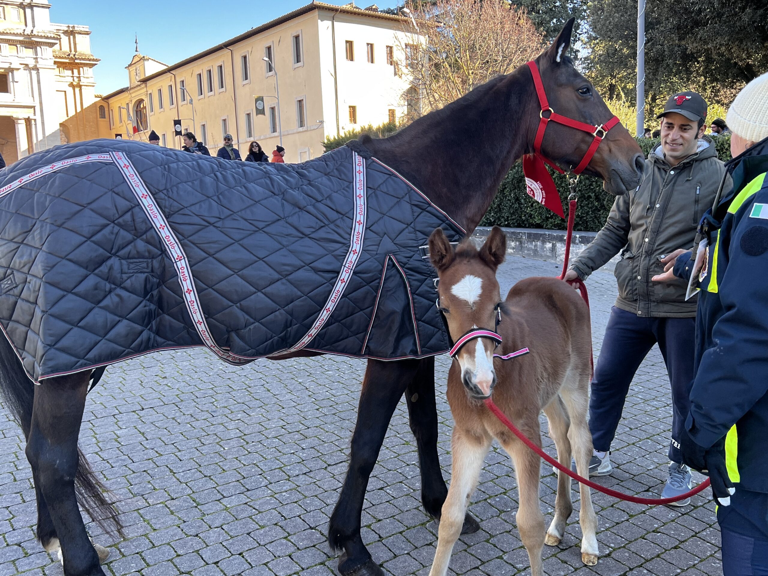Successo a Santa Maria degli Angeli per il Piatto di Sant’Antonio Abate (foto e video) 40