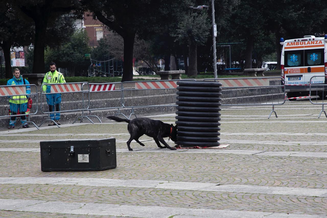 “Pet and technology for life”, piloti e conduttori a quattro zampe: successo a Santa Maria degli Angeli (foto+video) 49