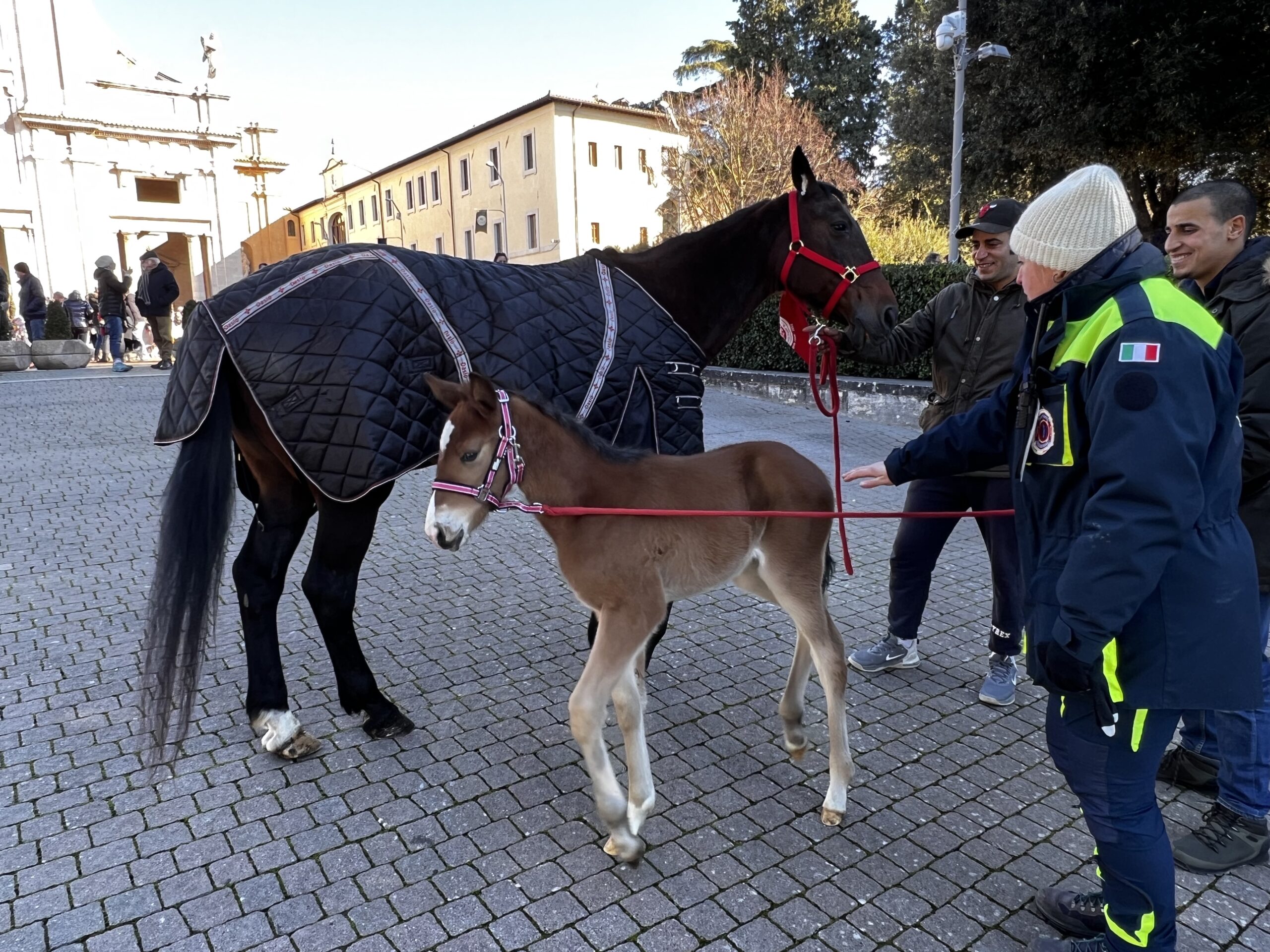 Successo a Santa Maria degli Angeli per il Piatto di Sant’Antonio Abate (foto e video) 46