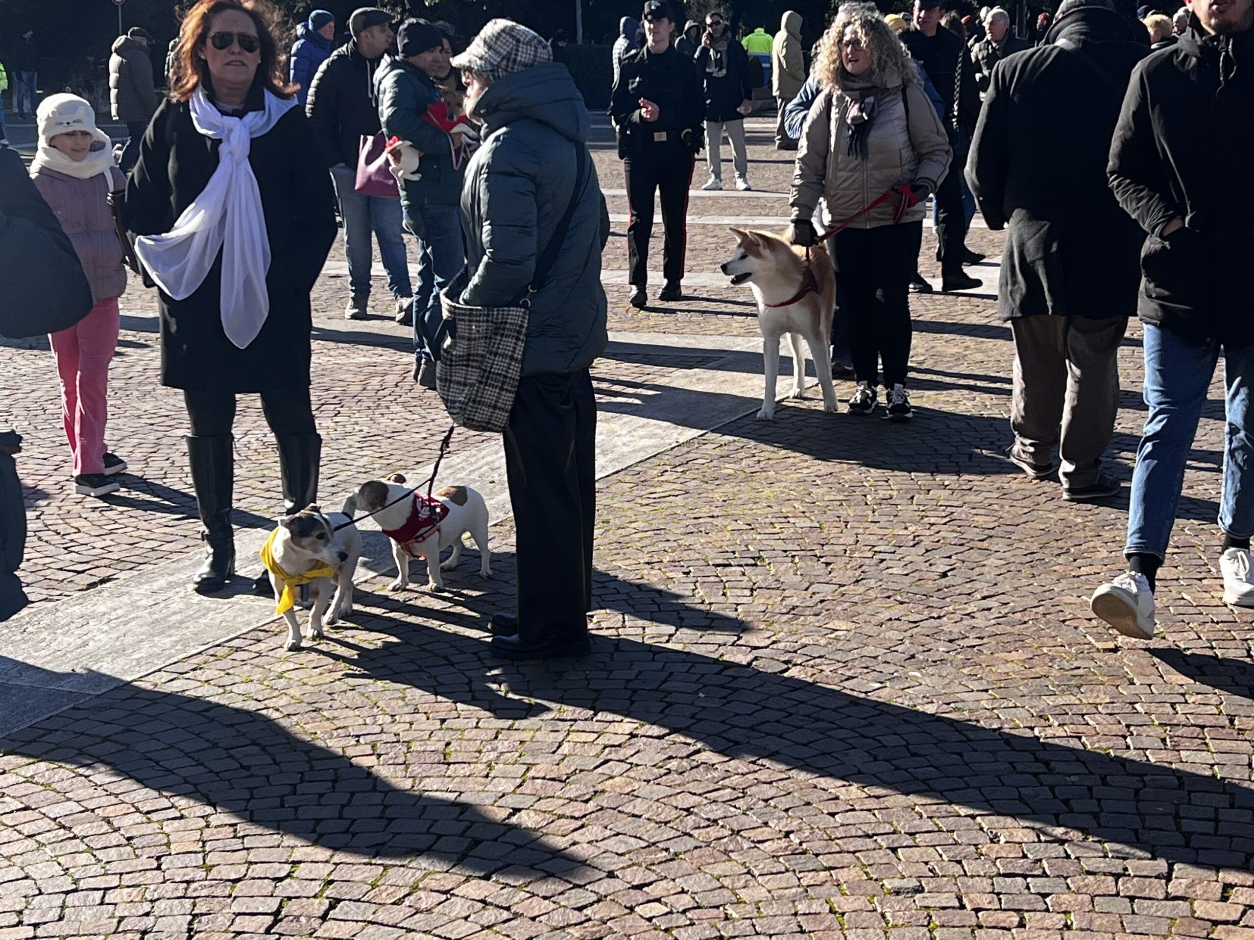 Successo a Santa Maria degli Angeli per il Piatto di Sant’Antonio Abate (foto e video) 128